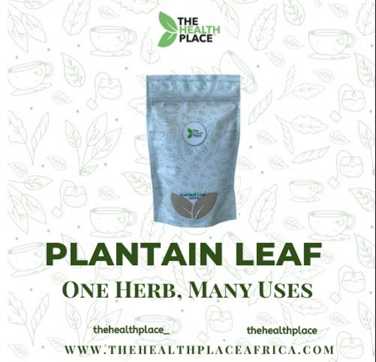 PLANTAIN LEAF- ONE HERB , MANY USES