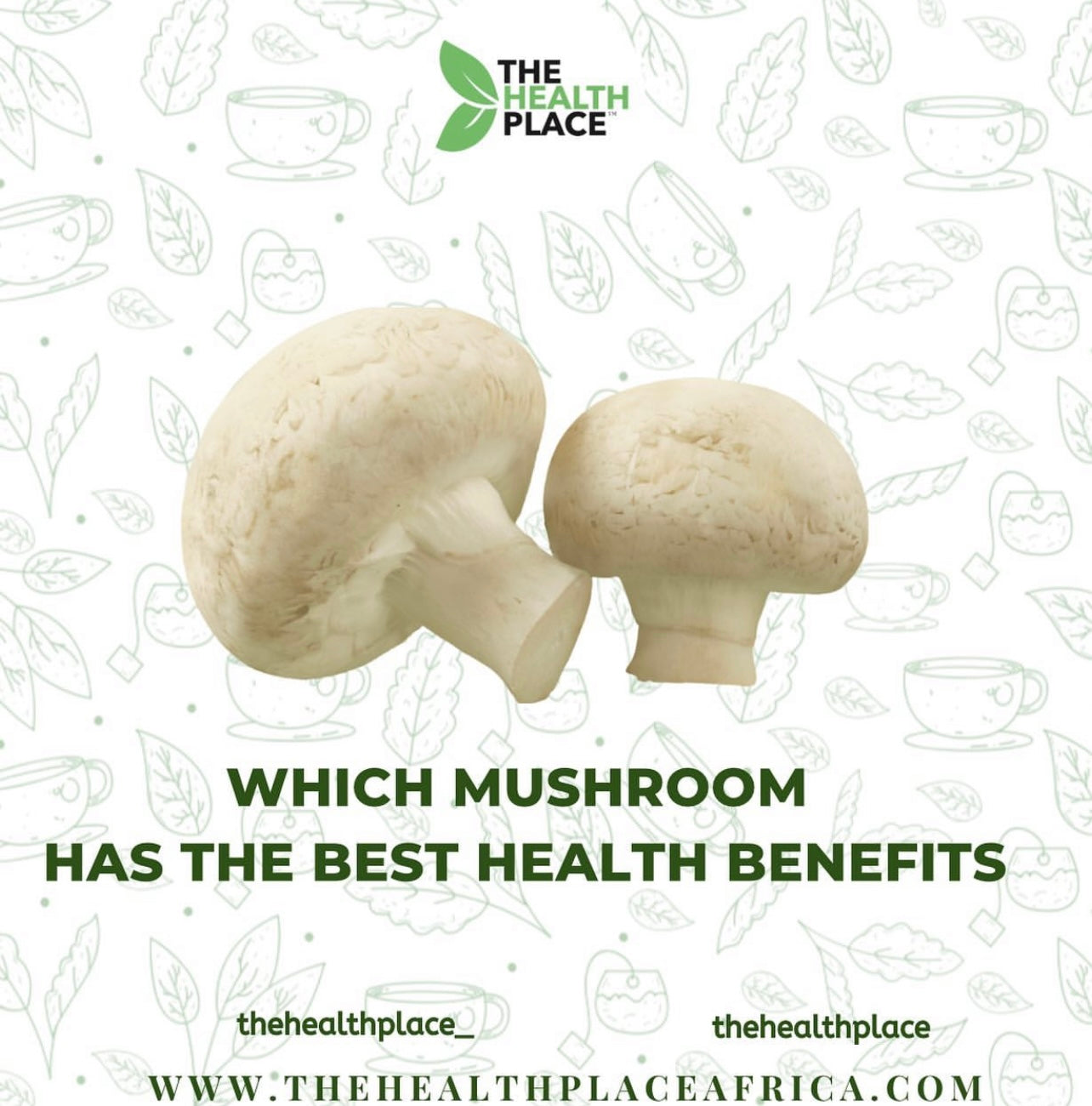 WHICH MUSHROOM HAS THE BEST HEALTH BENEFITS