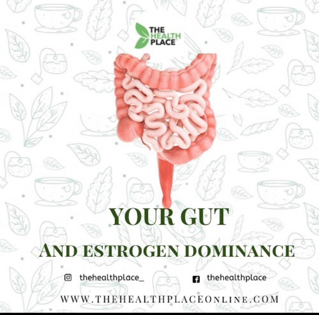 YOUR GUT AND ESTROGEN DOMINANCE