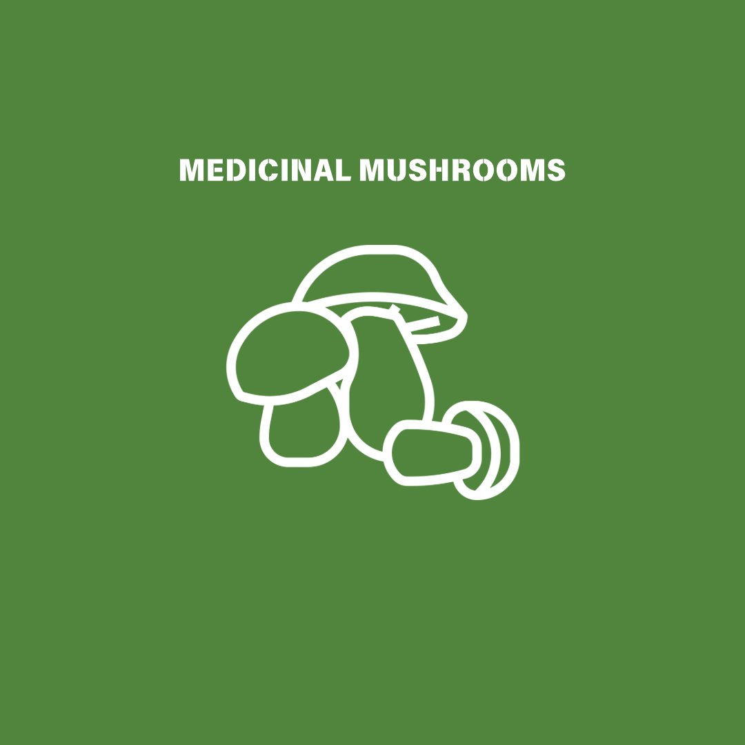 Medicinal Mushrooms