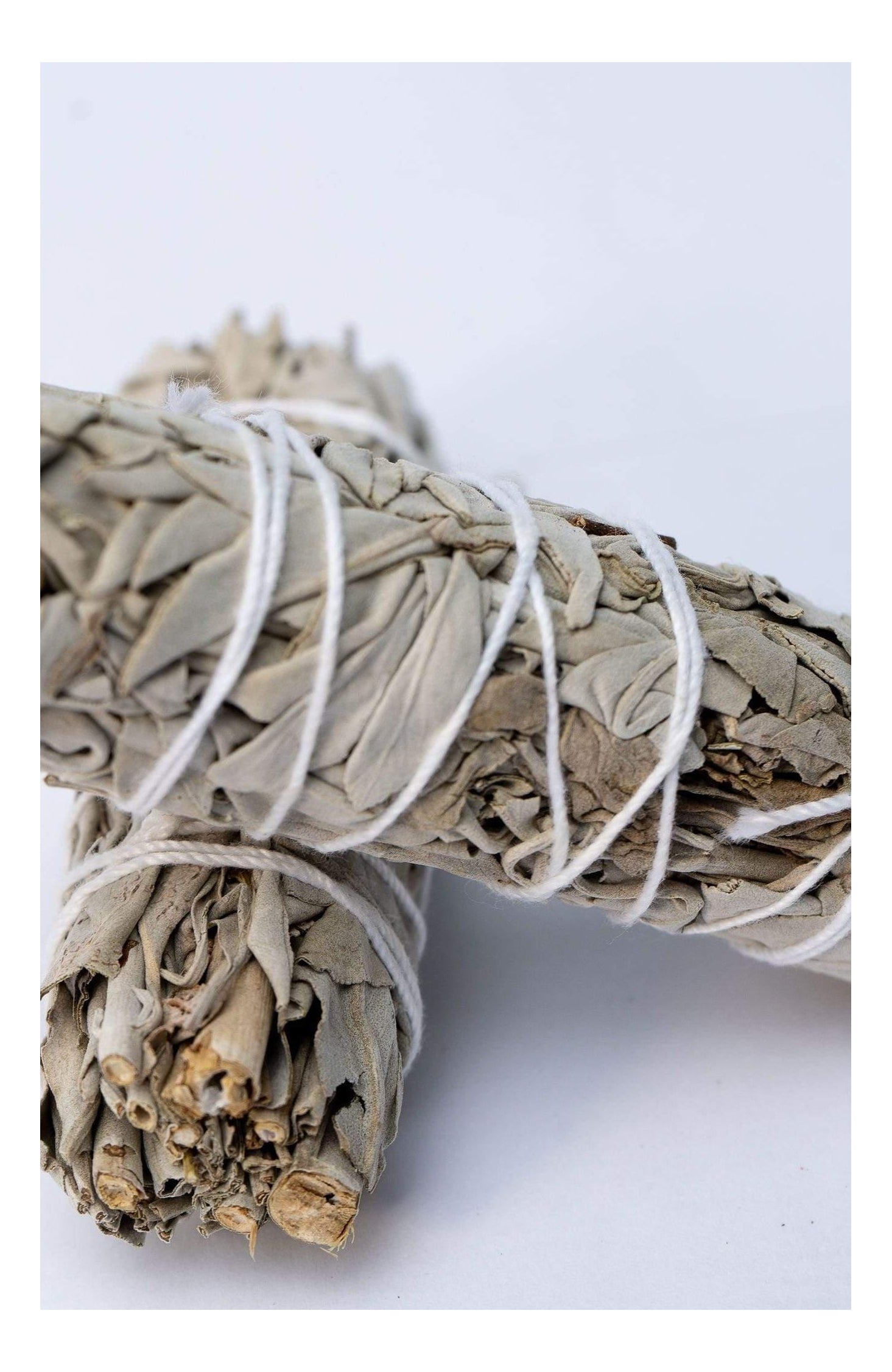 Burning Sage