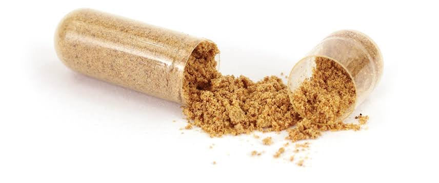 Encapsulating Encapsulation 001