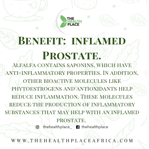 Alfalfa Leaf Organic Powder- 100 Grams