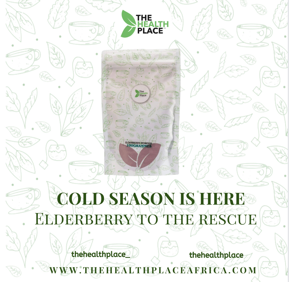ElderBerry Fruit Powder Organic Freeze-Dried 100grams