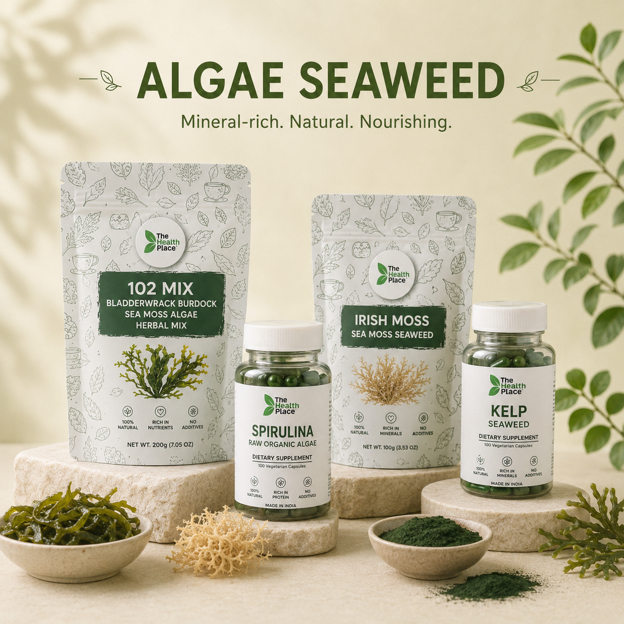 Algae Seaweed
