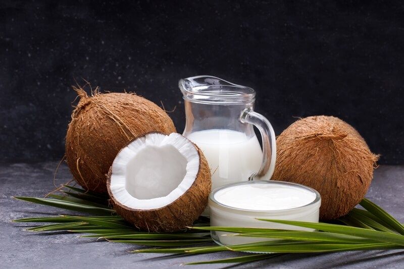 Coconut Milk Powder Organic- 100 Grams