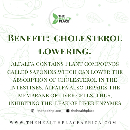 Alfalfa Leaf Organic Powder- 100 Grams